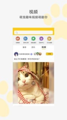 我爱它它app 截图3