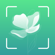 识花君植物识别app  1.3