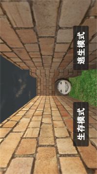 恐怖迷宫冒险世界 截图2