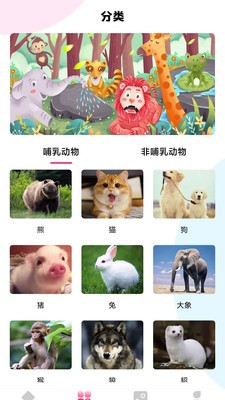 最强动物园 截图2