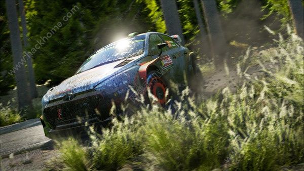 WRC 7巴音布鲁克拉力赛(世界汽车拉力锦标赛7 ) 截图4