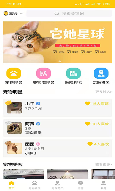 它她星球app