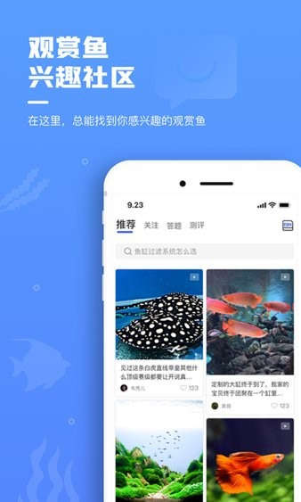 鲲天下app