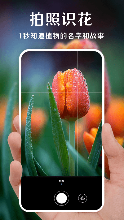 一键拍照识花app 截图1