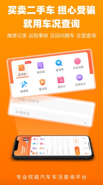 车况查询app 截图3