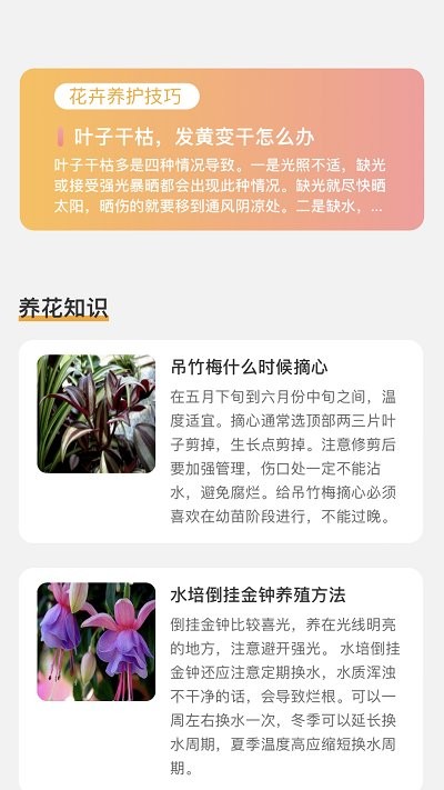 百花悦看app