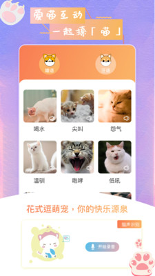 猫狗语翻译器 截图3