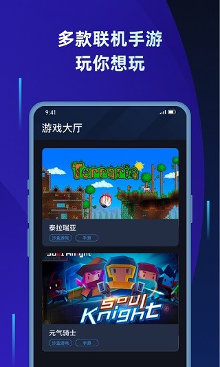 蒲公英联机平台 截图3