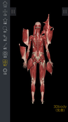 3DBody解剖最新版 截图2