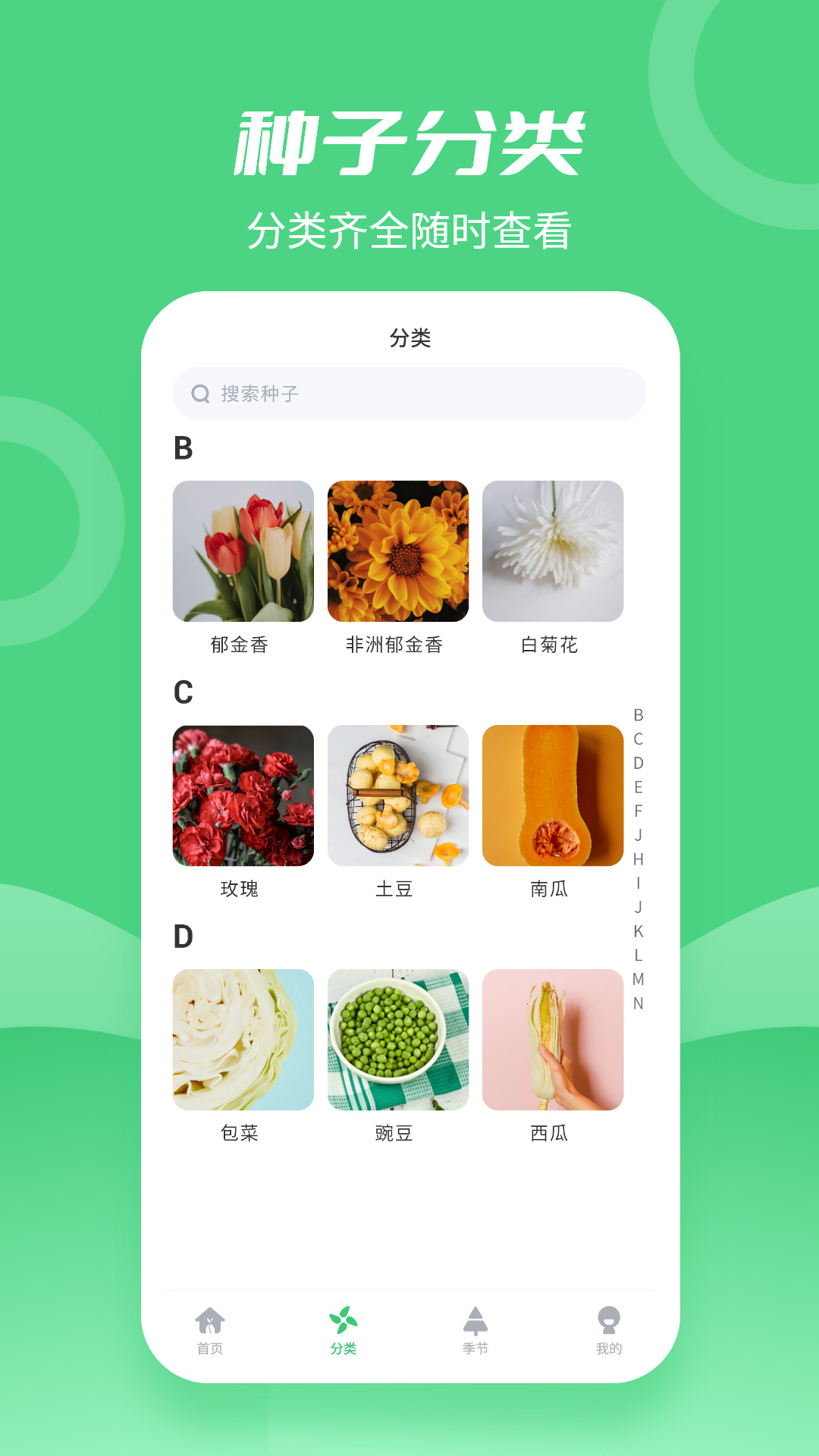 种子大全app
