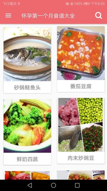 孕妇营养食谱 截图1