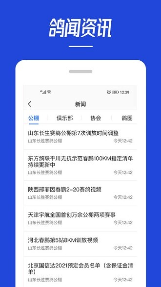 青鸽网app