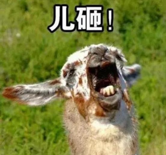 新出炉的喊儿子系列表情图片最新版小编为你整理了过来,是不是在纳闷这是一个什么梗,之前喊妈妈系列在网上很火,于是网友们就突发奇想,做了一个喊儿子表情包,也同样非常火。喊儿子系列表情图片最新版这里有着各种可爱的动物们声嘶力竭的表情,让你不由的也变得开心起来。