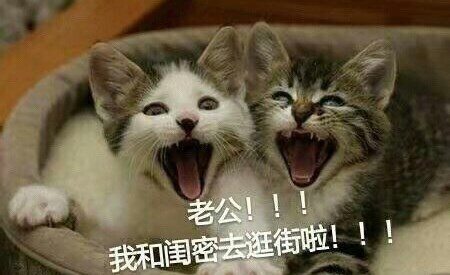 来叫老鼠表情最新可爱表情老公包图片