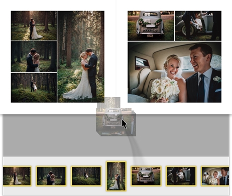 artalbums mac (Ű) v2.0.12 ٷ