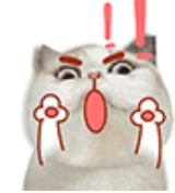 亲亲少女喵表情包下载(搭配恰到好处的文字描