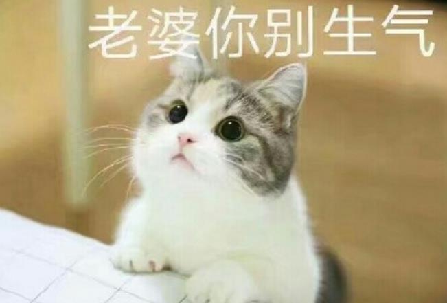 知道怎么哄你的老婆开心吗?哈哈!小编告诉你哦!用猫妻奴表情包绝对会让你事半功倍的哦!这款表情包真的是异常的可爱!在猫妻奴表情包中你可以充分的像你的老婆表达爱意!当然可能也会有一些色色的话哦!萌哒萌哒的小猫正在向你袭来!准备好了吗?