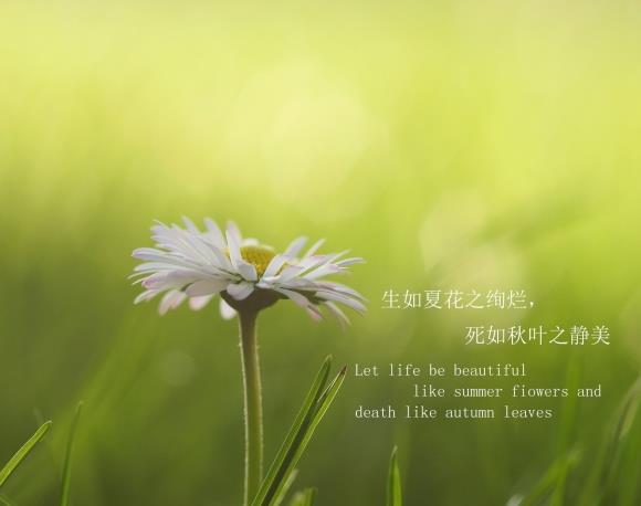 ֶ̾ͼƬ