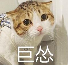 容朕想想表情普京包大帝表情图片