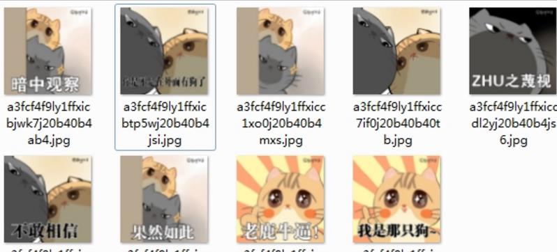 在外面有猫了表情下载(暗中v动态其他喵)最新猪扭动态屁股表情图片