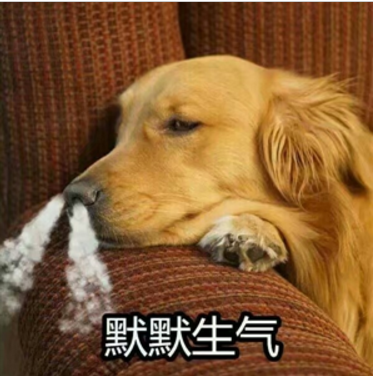 下载狗QQ高清表情版生气(狗狗生气搞笑表情a高清图片包表情手指画图片