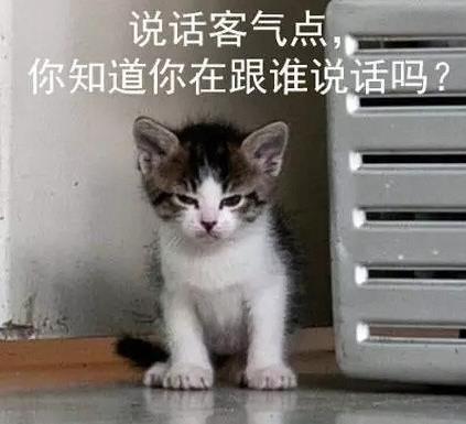 社我喵哥表情下载(霸气侧漏的表情)最新完约我的搞笑图图片