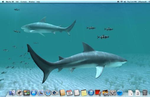 谁有sharks can"t sleep 这首歌,在哪里能找到