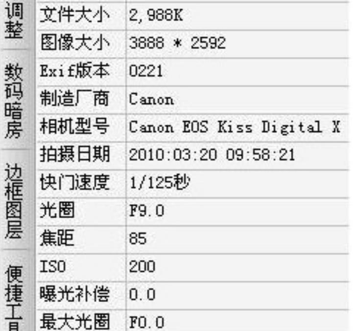 ExifTool gui免激活版(图片编辑软件) v1.0 中文版