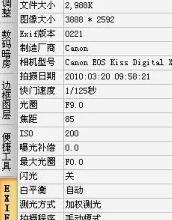 ExifTool gui免激活版(图片编辑软件) v1.0 中文版