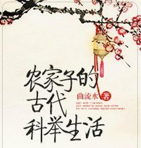 农家子的古代科举生活全集下载(TXT小说电子