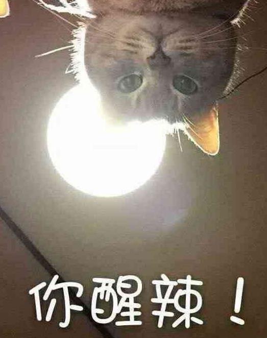 你醒啦西游记表情包下载(师徒四人的表情包) 完