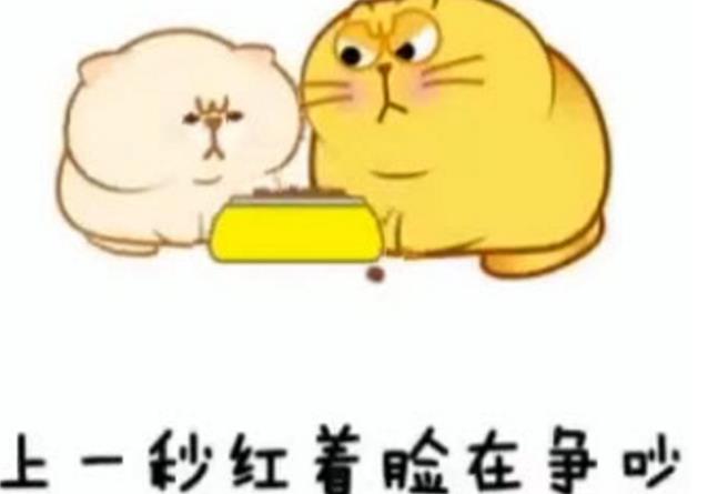 一次就好表情下载(暖心的情侣表情)无表情图片大全包水印潮语图片