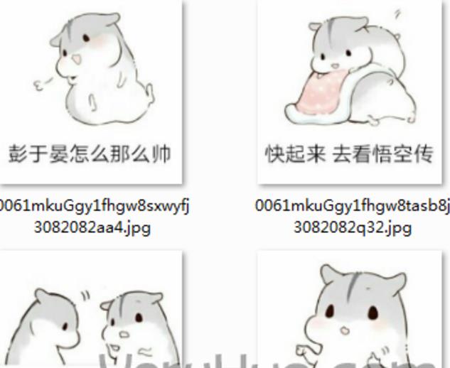 彭于晏仓鼠整版v1.0完表情告辞图搞笑图片
