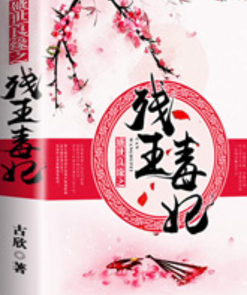 穿越之残王毒妃小说全集下载(穿越之旅) TXT免