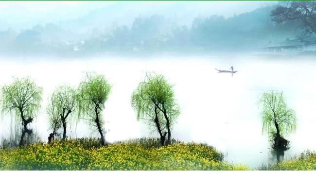 常青藤怎么激活如何输入常青藤注册码