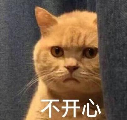 暗中委屈橘猫高清版最新版下载(表情无苹果v高清快手怎么图玩8水印包表情图片