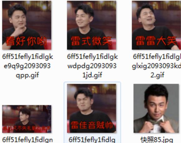 社会我雷哥表情包下载v1.0 完整版 - 雷佳音的各