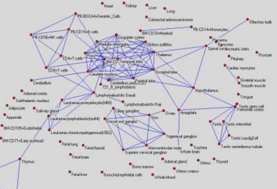 pajek网络分析软件中文版下载(进行可视化分析