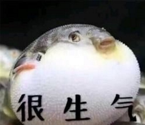 河豚生气了表情包v1.0 高清无水印版