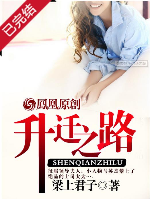 升迁之路小说txt全集下载(升迁之路完整版) 电子