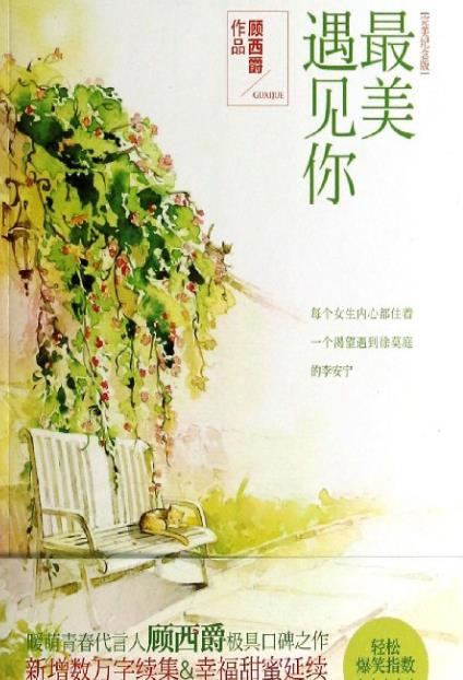 最美遇见你txt小说下载(都市爱情小说) 免费最新