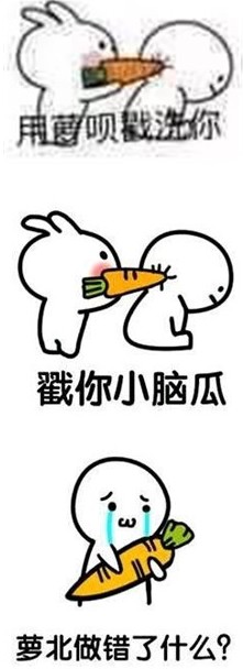 胡萝北表情大全喂猪的搞笑动态表情兔子下载1(胡萝北梗)免费图片