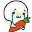 一只猫哭着啊表情包