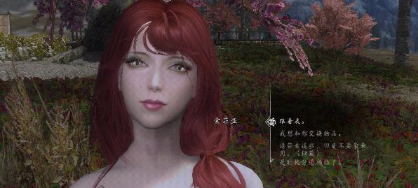 上古卷轴5索菲亚随从美化补丁下载