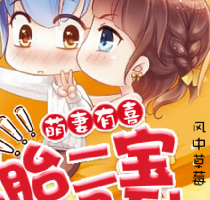 一胎二宝来报到全文阅读下载TXT小说免费版