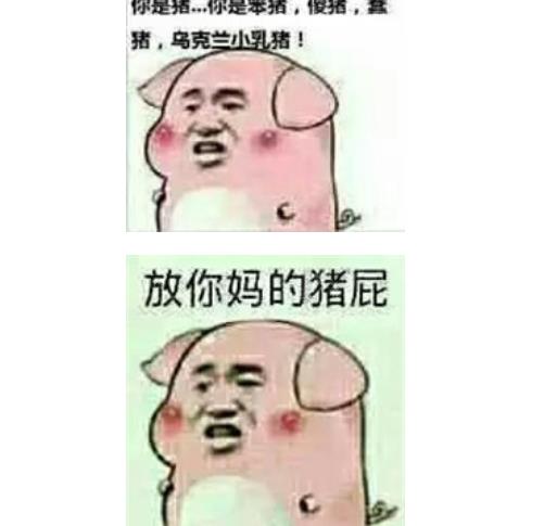 你这只猪大全表情包表情k歌v大全愉快图全民图片