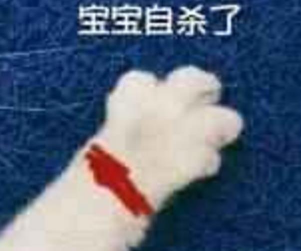 牵图片的纺织情为主(粉红色猫爪断头题)最新表情下载手表老子图片