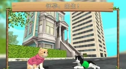 猫咪生存模拟器中文版下载(百变游戏模式) v2.