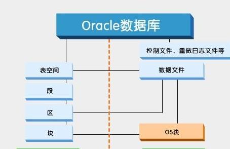 Oracle自动生成povo软件免安装版下载(数据库