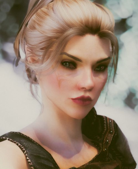 上古卷轴5天际高精灵随从密涅瓦MOD下载(上